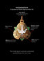 Symbolism chart for Inspocco’s Advocate Medallion, inspired by Acts 2:2-4.